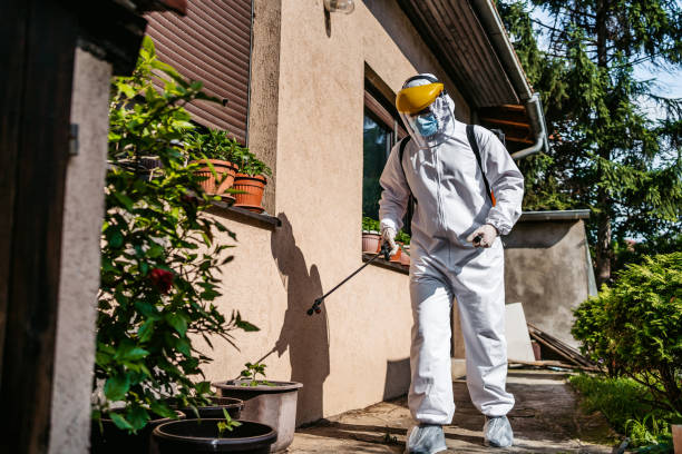 Pest Prevention Services in Valley Mills, TX