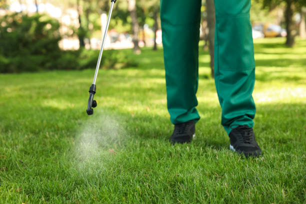 Best Pest Control for Homes  in Valley Mills, TX