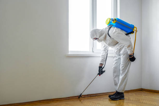 Pest Prevention Services in Valley Mills, TX