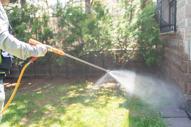 Wasp Removal Services in Valley Mills, TX