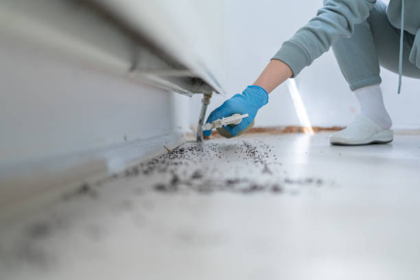 Best Best Pest Control Companies  in Valley Mills, TX